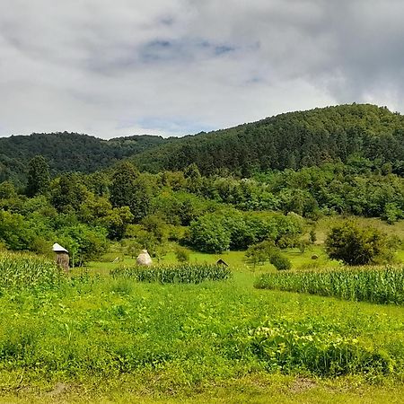 Pensiunea Sanziene Strîmtura Εξωτερικό φωτογραφία
